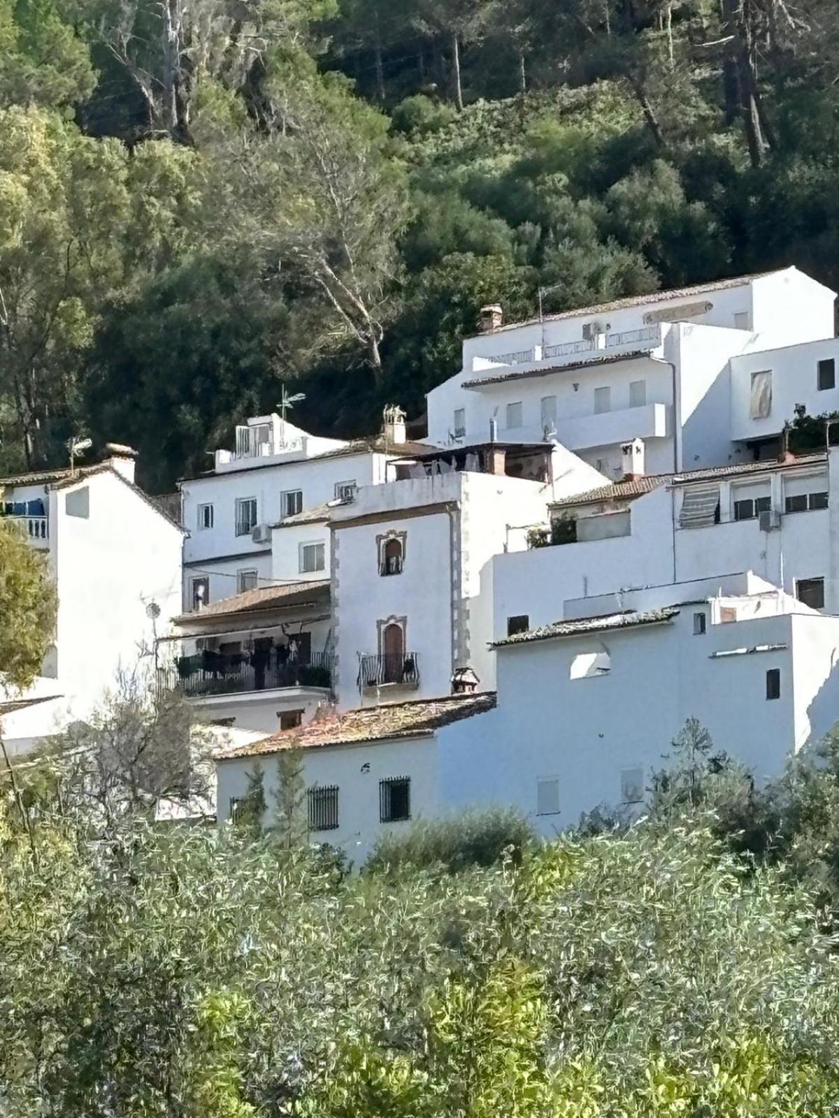El Rincon De Las Higueras El Bosque Zewnętrze zdjęcie