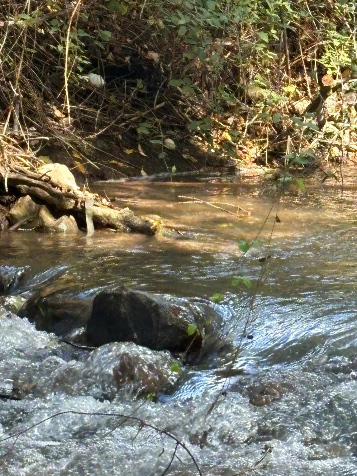 El Rincon De Las Higueras El Bosque Zewnętrze zdjęcie