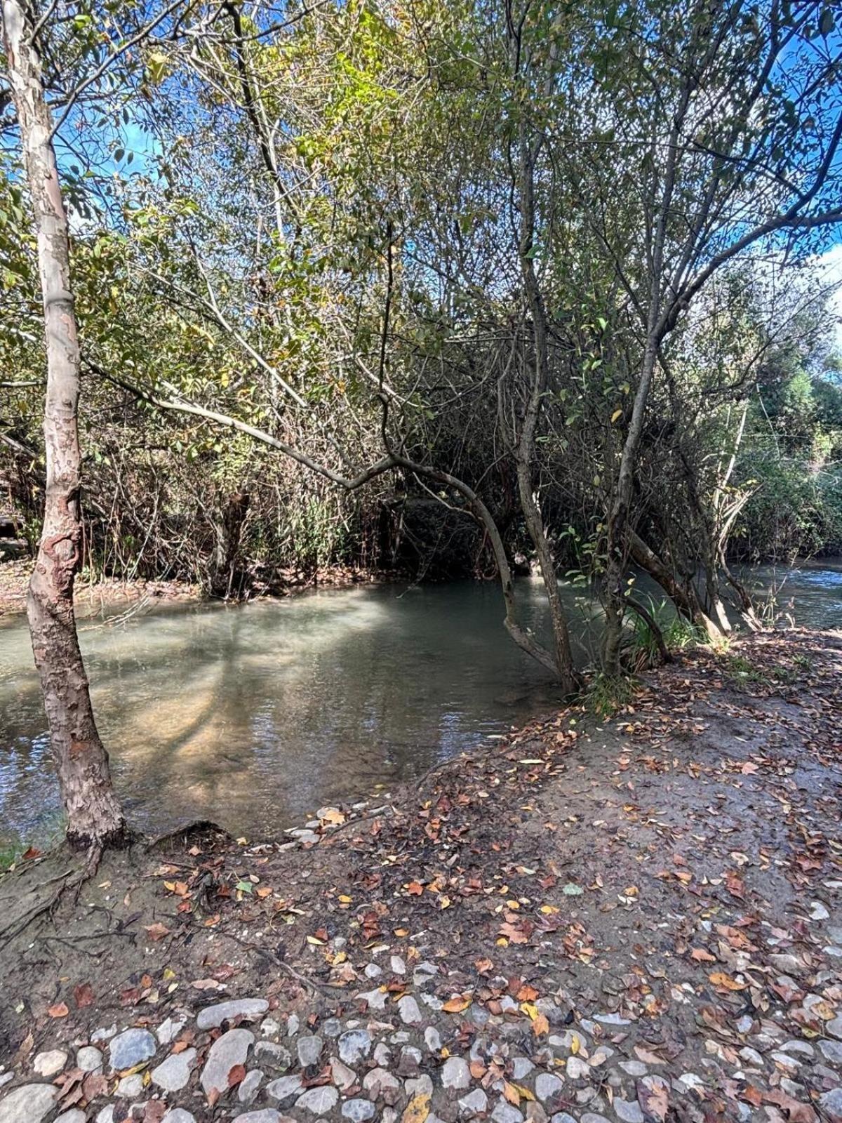 El Rincon De Las Higueras El Bosque Zewnętrze zdjęcie