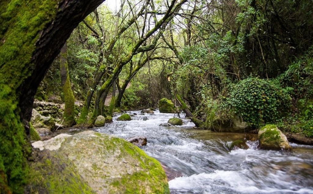 El Rincon De Las Higueras El Bosque Zewnętrze zdjęcie